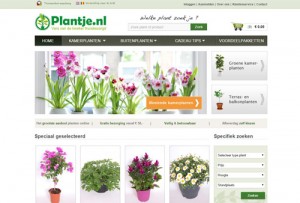 Plantje.nl - planten vers van de kweker thuisbezorgd