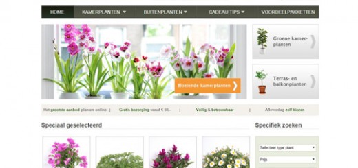 Plantje.nl - planten vers van de kweker thuisbezorgd